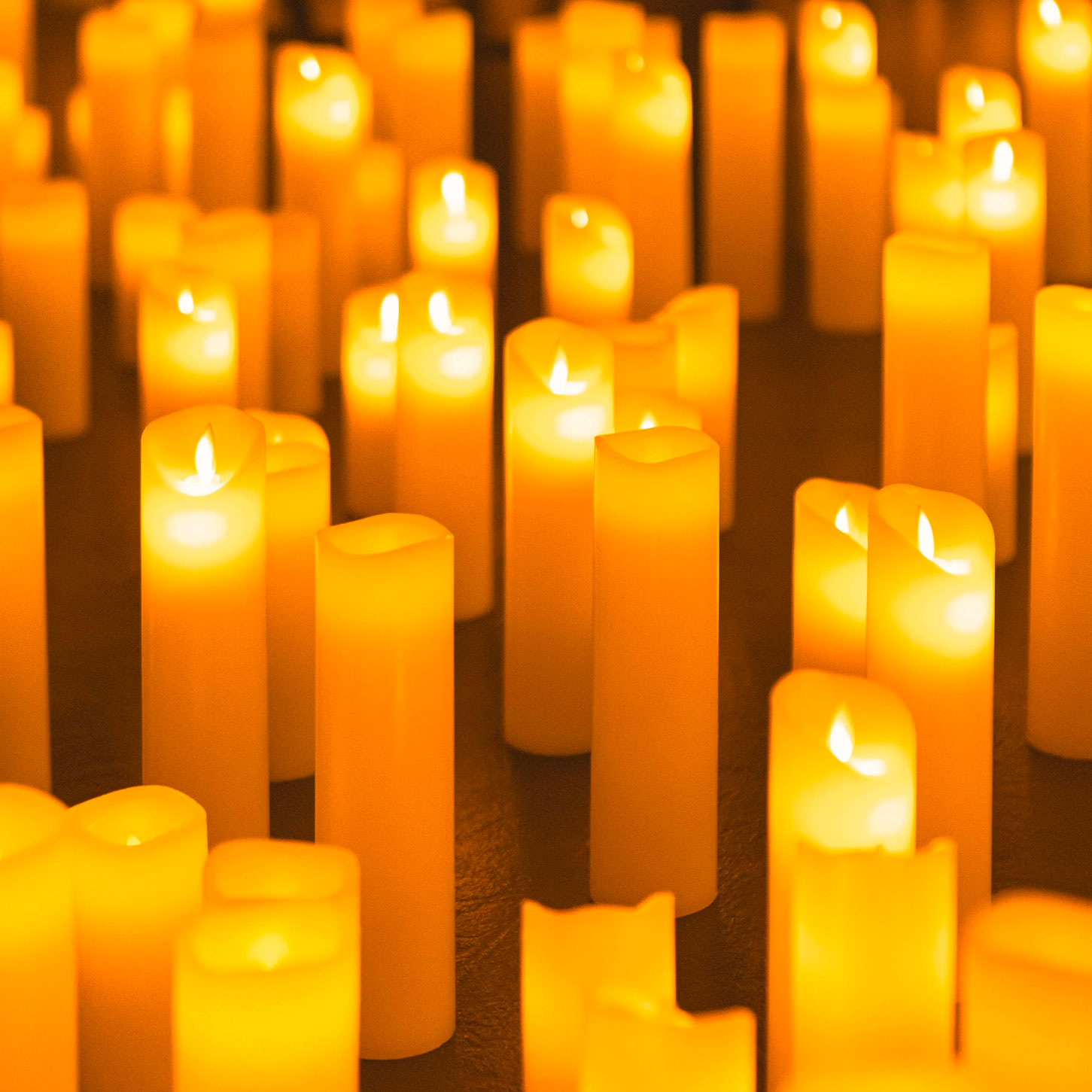 🎻 Classical music concerts by Candlelight Charlotte Fever