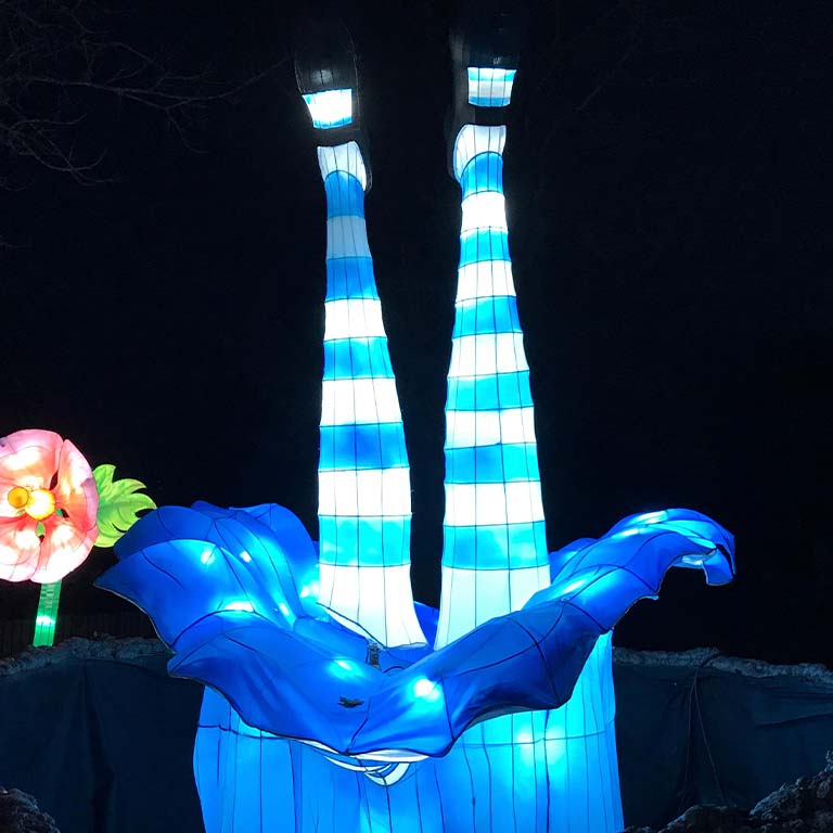 Alice In Magical Garden Espetaculo De Luzes Noturno By Ocubo Lisboa Fever