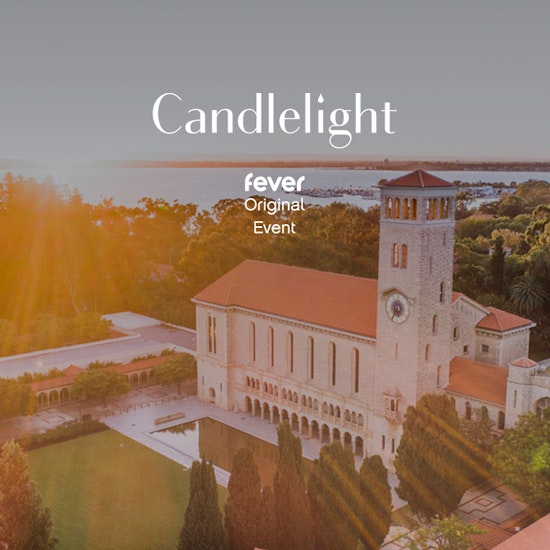 Fever Vivaldi Fever Vivaldi