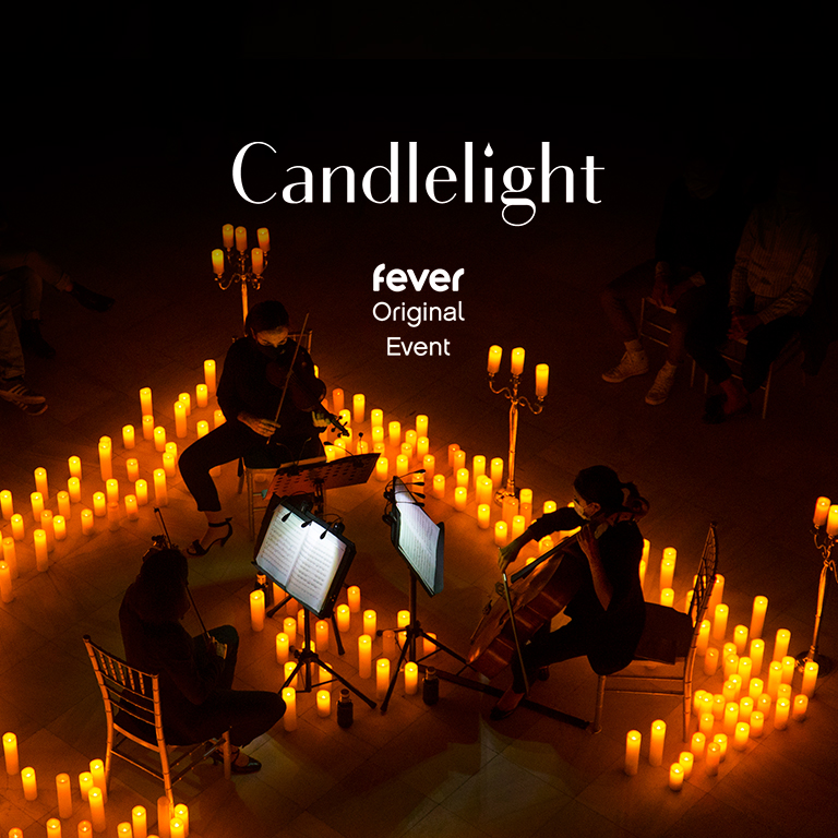 Candlelight: Vivaldi's Four Seasons At Bristol Museum & Art Gallery | Fever