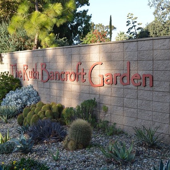 Ruth Bancroft Garden General Admission Ticket Fever Ruth Bancroft Garden General Admission Ticket Fever