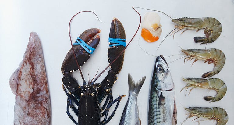 The Ultimate Fish and Shellfish Cooking Class | Fever