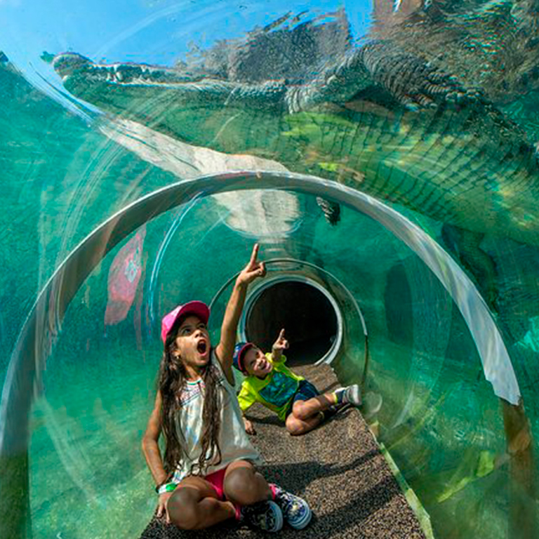 Skip the Line Zoo Miami Ticket Fever