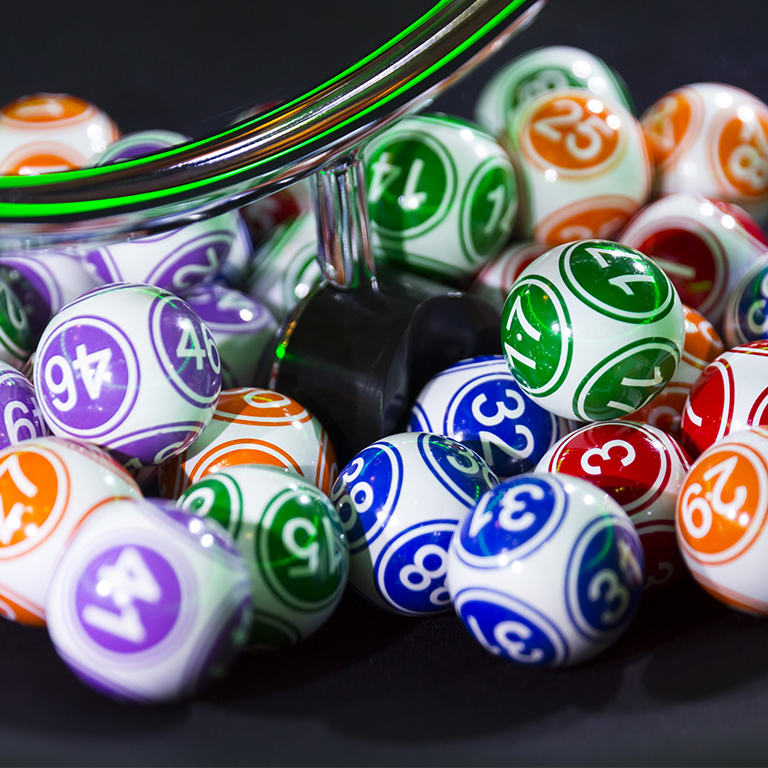 Bingo Express at Dabbers City tickets and tour dates